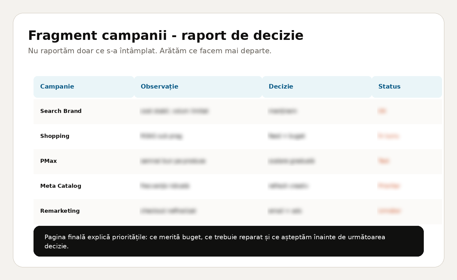 Exemplu anonimizat de raport de optimizare campanii